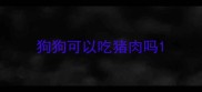 狗狗可以吃猪肉吗