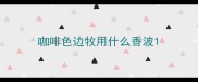 咖啡色边牧用什么香波
