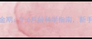 狗狗配种黄金期3-6月龄科学指南新手养宠必看