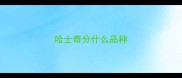 哈士奇分什么品种