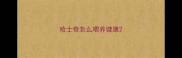 哈士奇怎么喂养健康