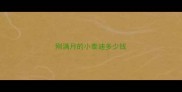 刚满月的小泰迪多少钱