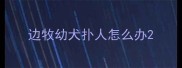 边牧幼犬扑人怎么办