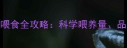 边境牧羊犬2个月大喂食全攻略科学喂养量品牌选择与养护要点