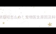 5个月小狗前腿短怎么办宠物医生原因及科学护理指南