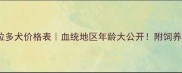 最新拉布拉多犬价格表血统地区年龄大公开附饲养成本全攻略