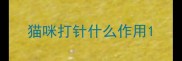 猫咪打针什么作用