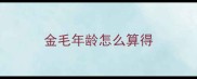 金毛年龄怎么算得