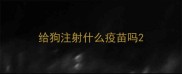 给狗注射什么疫苗吗