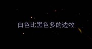 白色比黑色多的边牧