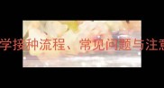 蓝猫疫苗接种全攻略科学接种流程常见问题与注意事项附详细时间表
