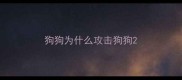 狗狗为什么攻击狗狗