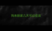 狗来新家几天可以疫苗