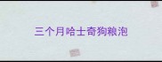 三个月哈士奇狗粮泡