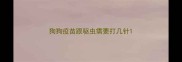 狗狗疫苗跟驱虫需要打几针