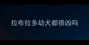 拉布拉多幼犬都很凶吗