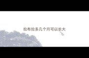拉布拉多几个月可以长大
