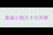 泰迪小狗几个月开眼