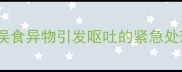 泰迪犬误食异物引发呕吐的紧急处理指南