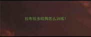 拉布拉多咬狗怎么训练