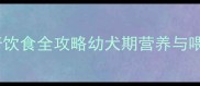 3个月哈士奇饮食全攻略幼犬期营养与喂养注意事项