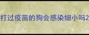 打过疫苗的狗会感染细小吗