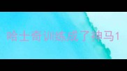 哈士奇训练成了神马