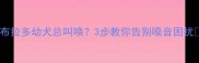 拉布拉多幼犬总叫唤3步教你告别噪音困扰