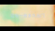 边牧一般多久出门