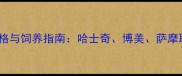热门犬种价格与饲养指南哈士奇博美萨摩耶金毛全
