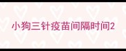 小狗三针疫苗间隔时间