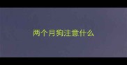两个月狗注意什么