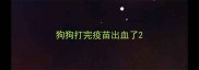 狗狗打完疫苗出血了