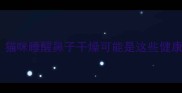 警惕猫咪睡醒鼻子干燥可能是这些健康隐患