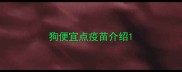 狗便宜点疫苗介绍