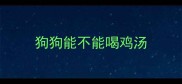 狗狗能不能喝鸡汤