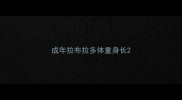 成年拉布拉多体重身长