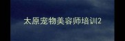 太原宠物美容师培训