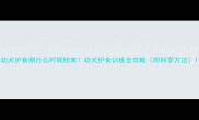 幼犬护食期什么时候结束幼犬护食训练全攻略附科学方法