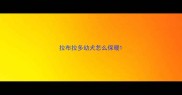 拉布拉多幼犬怎么保暖