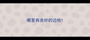 哪里有卖好的边牧
