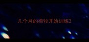 几个月的德牧开始训练