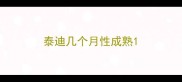 泰迪几个月性成熟