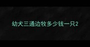幼犬三通边牧多少钱一只