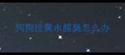 狗狗拉黄水腥臭怎么办