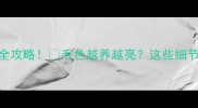 边牧挂耳白护理全攻略毛色越养越亮这些细节90人做错了