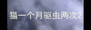 猫一个月驱虫两次