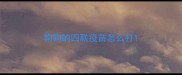 狗狗的四联疫苗怎么打