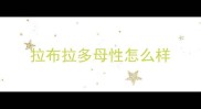 拉布拉多母性怎么样