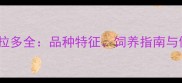 灰色拉布拉多全品种特征饲养指南与健康养护